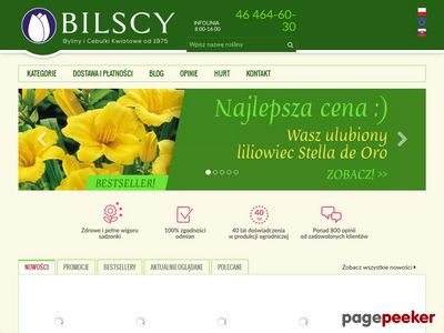 Gospodarstwo Ogrodnicze Bilscy - Cebule kwiatowe